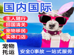 合肥机场物流国际宠物托运 【国